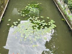 -虎跑公园