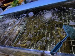 -聚盛源蒸汽海鲜火锅烤肉自助(巨川金海岸购物广场店)