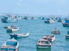 -海源公园