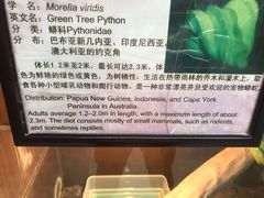 -上海大自然野生昆虫馆(东方明珠·爬宠昆虫探索中心)
