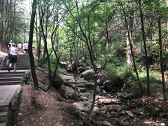 -王顺山国家森林公园