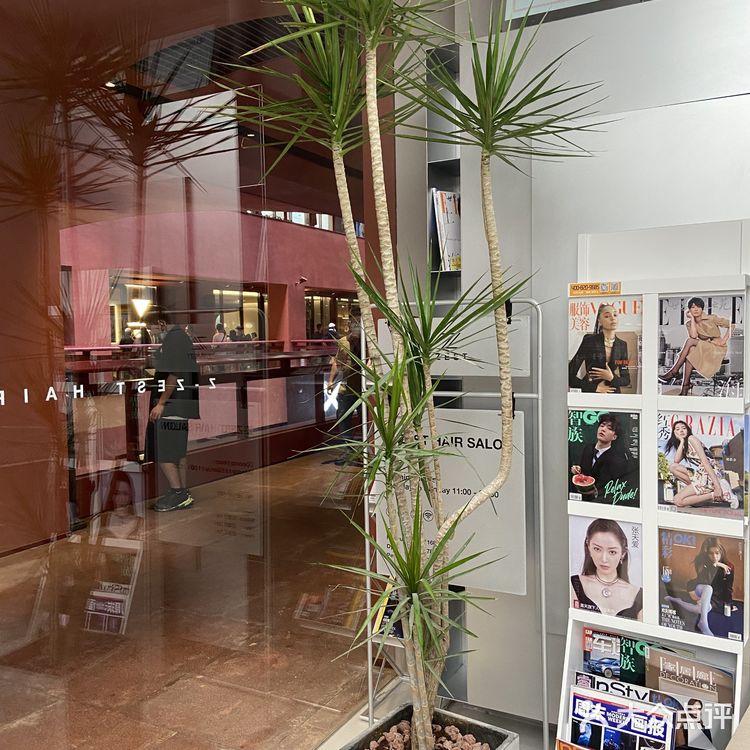 藏在网红地标里的潮流美发沙龙| Z.ZEST高质量染发