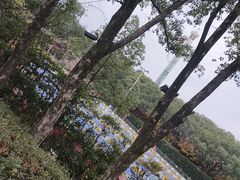 -横店影视城梦幻谷园区