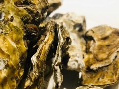 -五月罗马海鲜自助餐厅(陆家嘴店)