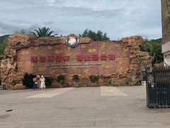 -世界恐龙谷景区