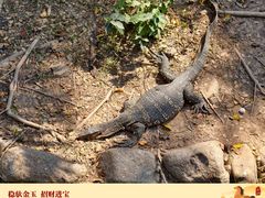 -野象谷景区