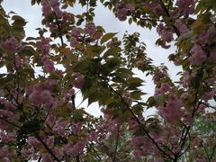 -贵阳市花溪国家城市湿地公园