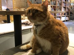 -小时光咖啡馆(开森度假森林店)