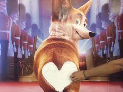 -天幕新彩云国际影城(激光巨幕店)