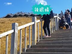 -黄河九曲第一湾