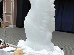 -歌诗达邮轮(宝杨路码头)