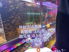 -双季花艺园艺市场(浦东店)