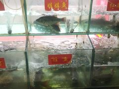 -干老四雅鱼饭店(滨江西路店)