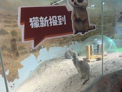 -正佳雨林生态植物园