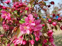 -永定河休闲森林公园