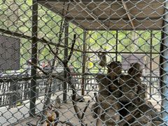 -长白岛森林公园