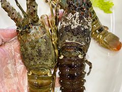 -桔子海鲜烧烤大排档(金沙滩店)