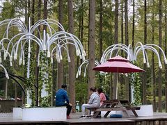 -黄海国家森林公园