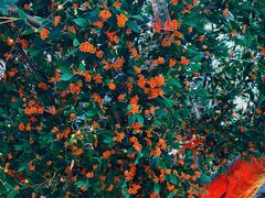 -新世界大丸百货