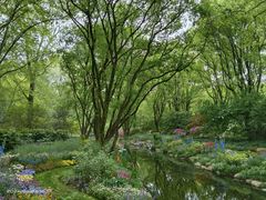 -上海共青森林公园