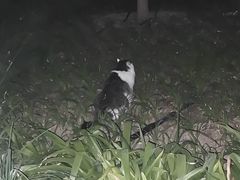 -南开大学(津南校区)