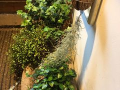 -阿木舂记·特色小吃(平江路店)