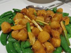 xo酱炒元贝-上海1号私藏菜(静安店)