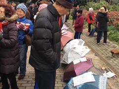 -人民公园-相亲角