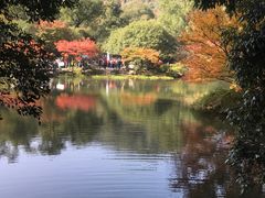 -杭州西湖柳莺里酒店