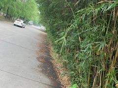 -胜华驾校·小猫学车(银都店)