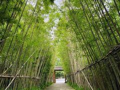 -新荣记(西溪湿地店)