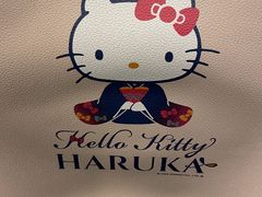 -关西机场 JR ticket office(Kansai Airport)
