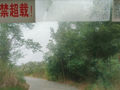 -盐城丹顶鹤湿地生态旅游区