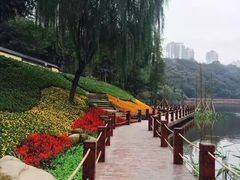 -重庆彩云湖湿地公园