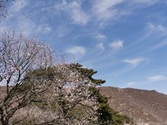 -妙峰山风景名胜区