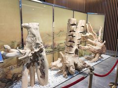 -中国沉香文化博物馆