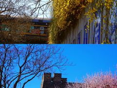 -三里河公园