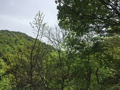 -白马涧龙池景区