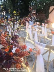 -丁香花园申粤轩·宴会厅