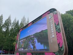 -东平国家森林公园