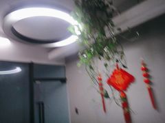 -引领英语·成人口语·雅思托福