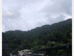 -西双版纳原始森林公园
