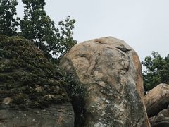 -东山风动石景区