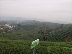 -午潮山国家森林公园