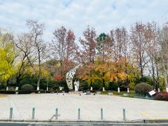 -昆山城市生态森林公园