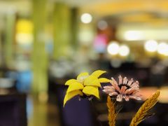 -上海金陵紫金山大酒店·汇海餐厅