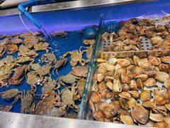 -SEA西雅图海鲜自助餐厅(正义店)