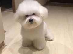 -喜多萌中农锦绣动物医院24H·猫科·牙科MRI·CT
