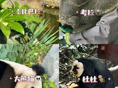 -红山森林动物园
