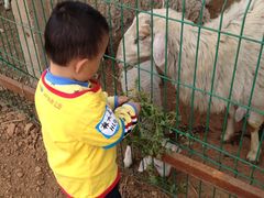 -红黄蓝成长中心(公益西桥校区)